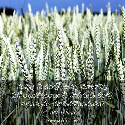 Picture 03 - లూకా 6:41 TELIRV - నువ్వు నీ కంట్లో - Bible Verse Picture