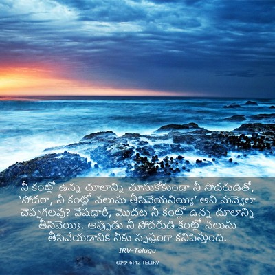Picture 03 - లూకా 6:42 TELIRV - నీ కంట్లో ఉన్న - Bible Verse Picture