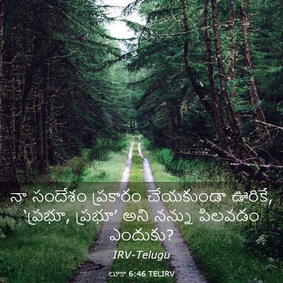 Picture 03 - లూకా 6:46 TELIRV - నా సందేశం ప్రకారం - Bible Verse Picture