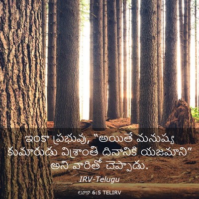 Picture 03 - లూకా 6:5 TELIRV - ఇంకా ప్రభువు, - Bible Verse Picture
