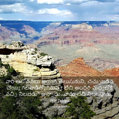 Picture 03 - లూకా 6:8 TELIRV - వారి ఆలోచనలు ఆయన - Bible Verse Picture