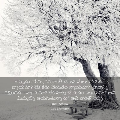 Picture 03 - లూకా 6:9 TELIRV - అప్పుడు యేసు, - Bible Verse Picture