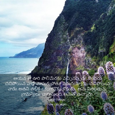 Picture 03 - లూకా 7:12 TELIRV - ఆయన ఆ ఊరి - Bible Verse Picture