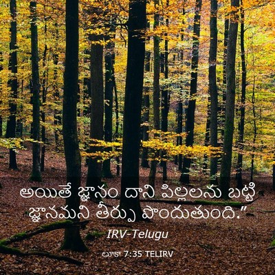 Picture 03 - లూకా 7:35 TELIRV - అయితే జ్ఞానం దాని - Bible Verse Picture