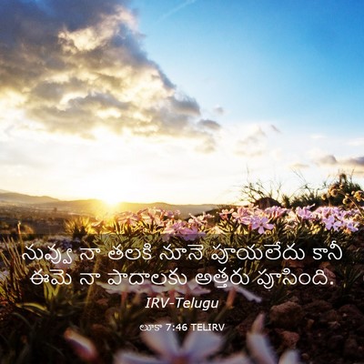 Picture 03 - లూకా 7:46 TELIRV - నువ్వు నా తలకి - Bible Verse Picture