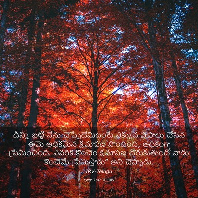 Picture 03 - లూకా 7:47 TELIRV - దీన్ని బట్టి నేను - Bible Verse Picture