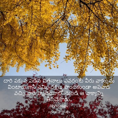Picture 03 - లూకా 8:12 TELIRV - దారి పక్కన పడిన - Bible Verse Picture