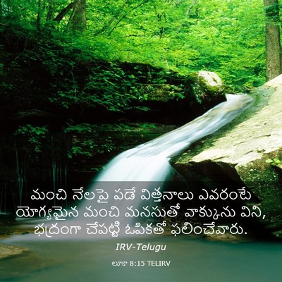 Picture 03 - లూకా 8:15 TELIRV - మంచి నేలపై పడే - Bible Verse Picture