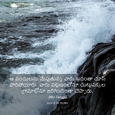 Picture 03 - లూకా 8:34 TELIRV - ఆ పందులను - Bible Verse Picture