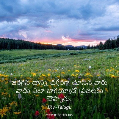 Picture 03 - లూకా 8:36 TELIRV - జరిగిన దాన్ని - Bible Verse Picture