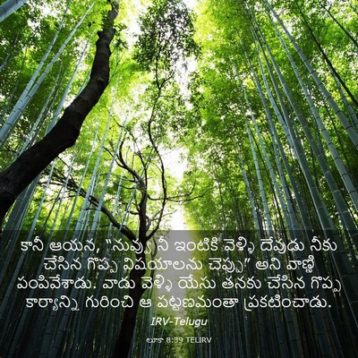Picture 03 - లూకా 8:39 TELIRV - కానీ ఆయన, “నువ్వు - Bible Verse Picture