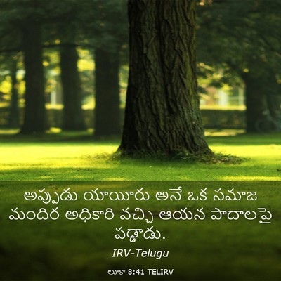Picture 03 - లూకా 8:41 TELIRV - అప్పుడు యాయీరు - Bible Verse Picture