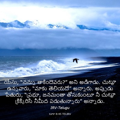 Picture 03 - లూకా 8:45 TELIRV - యేసు, “నన్ను - Bible Verse Picture
