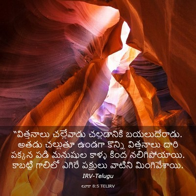 Picture 03 - లూకా 8:5 TELIRV - “విత్తనాలు - Bible Verse Picture