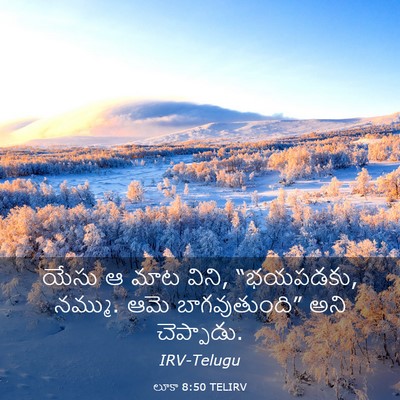 Picture 03 - లూకా 8:50 TELIRV - యేసు ఆ మాట విని, - Bible Verse Picture