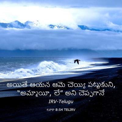 Picture 03 - లూకా 8:54 TELIRV - అయితే ఆయన ఆమె - Bible Verse Picture