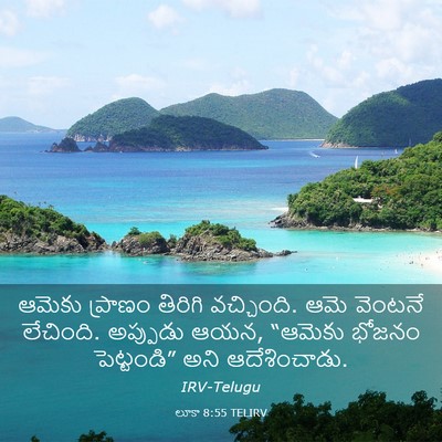 Picture 03 - లూకా 8:55 TELIRV - ఆమెకు ప్రాణం - Bible Verse Picture