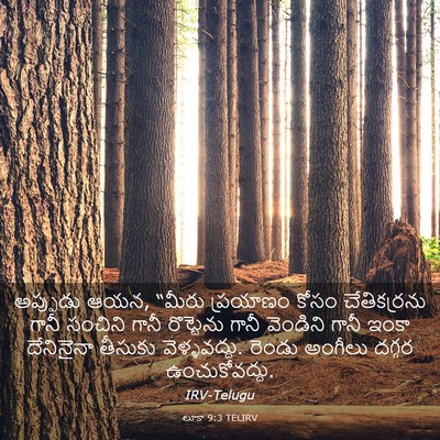 Picture 03 - లూకా 9:3 TELIRV - అప్పుడు ఆయన, “మీరు - Bible Verse Picture