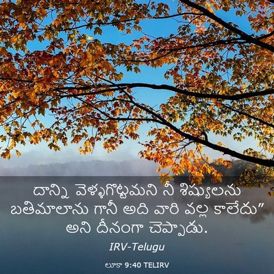 Picture 03 - లూకా 9:40 TELIRV - దాన్ని - Bible Verse Picture
