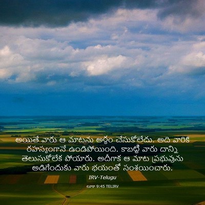 Picture 03 - లూకా 9:45 TELIRV - అయితే వారు ఆ మాటను - Bible Verse Picture