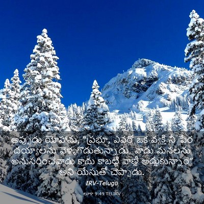 Picture 03 - లూకా 9:49 TELIRV - అప్పుడు యోహాను, - Bible Verse Picture