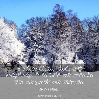 Picture 03 - లూకా 9:50 TELIRV - అందుకు యేసు, “మీరు - Bible Verse Picture