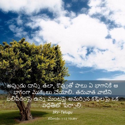 Picture 03 - లేవీకాండం 1:12 TELIRV - అప్పుడు దాన్ని - Bible Verse Picture
