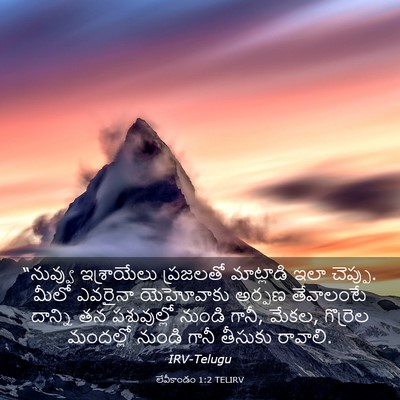 Picture 03 - లేవీకాండం 1:2 TELIRV - “నువ్వు ఇశ్రాయేలు - Bible Verse Picture