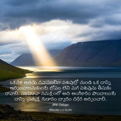 Picture 03 - లేవీకాండం 1:3 TELIRV - ఒకవేళ అతడు - Bible Verse Picture