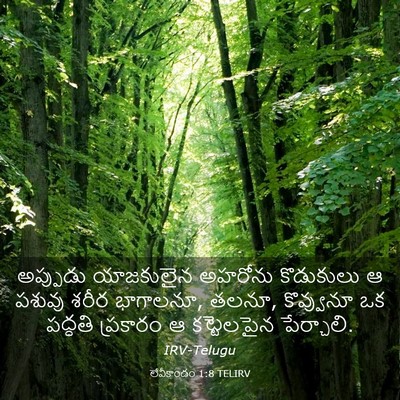 Picture 03 - లేవీకాండం 1:8 TELIRV - అప్పుడు యాజకులైన - Bible Verse Picture