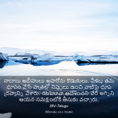 Picture 03 - లేవీకాండం 10:1 TELIRV - నాదాబు అబీహులు - Bible Verse Picture