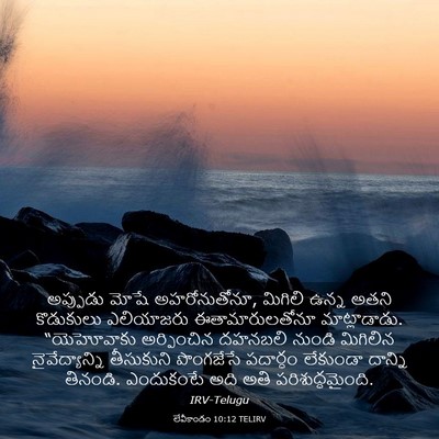 Picture 03 - లేవీకాండం 10:12 TELIRV - అప్పుడు మోషే - Bible Verse Picture
