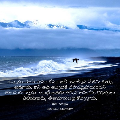 Picture 03 - లేవీకాండం 10:16 TELIRV - అప్పుడు మోషే పాపం - Bible Verse Picture