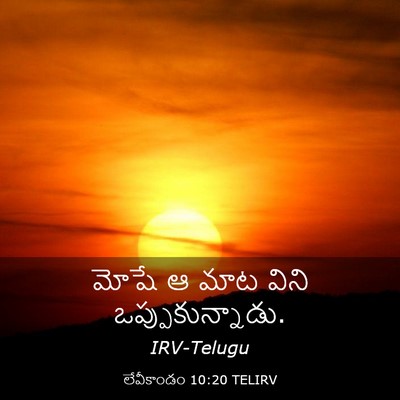 Picture 03 - లేవీకాండం 10:20 TELIRV - మోషే ఆ మాట విని - Bible Verse Picture