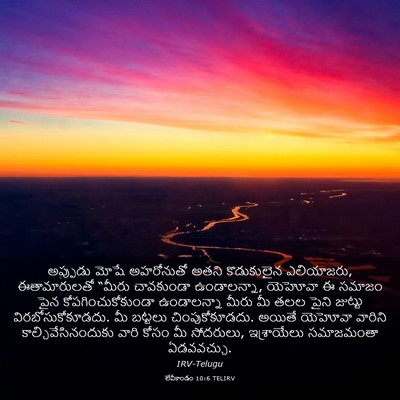Picture 03 - లేవీకాండం 10:6 TELIRV - అప్పుడు మోషే - Bible Verse Picture