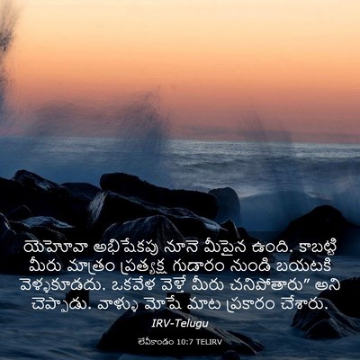 Picture 03 - లేవీకాండం 10:7 TELIRV - యెహోవా అభిషేకపు - Bible Verse Picture