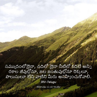 Picture 03 - లేవీకాండం 11:10 TELIRV - సముద్రంలోనైనా, - Bible Verse Picture