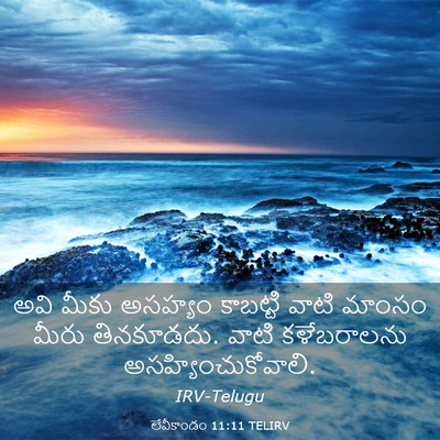 Picture 03 - లేవీకాండం 11:11 TELIRV - అవి మీకు అసహ్యం - Bible Verse Picture