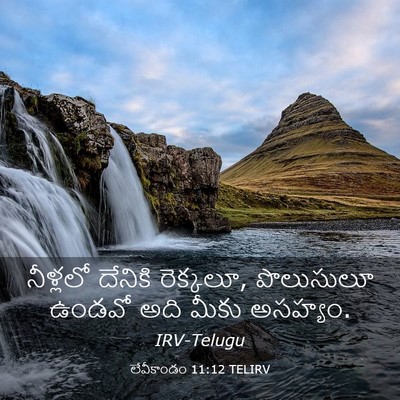 Picture 03 - లేవీకాండం 11:12 TELIRV - నీళ్లలో దేనికి - Bible Verse Picture