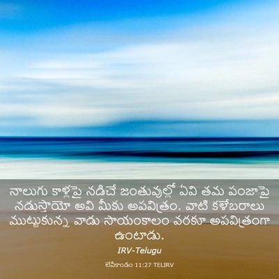 Picture 03 - లేవీకాండం 11:27 TELIRV - నాలుగు కాళ్లపై - Bible Verse Picture