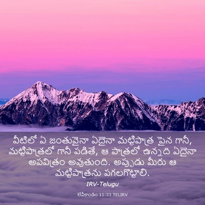 Picture 03 - లేవీకాండం 11:33 TELIRV - వీటిలో ఏ జంతువైనా - Bible Verse Picture