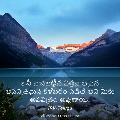 Picture 03 - లేవీకాండం 11:38 TELIRV - కానీ నానబెట్టిన - Bible Verse Picture