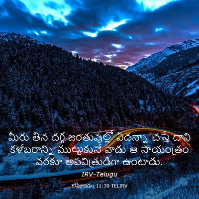 Picture 03 - లేవీకాండం 11:39 TELIRV - మీరు తిన దగ్గ - Bible Verse Picture