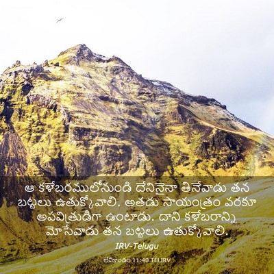 Picture 03 - లేవీకాండం 11:40 TELIRV - ఆ కళేబరములోనుండి - Bible Verse Picture