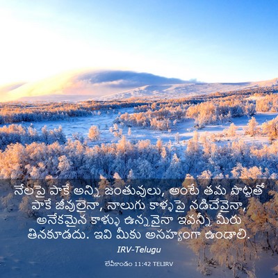 Picture 03 - లేవీకాండం 11:42 TELIRV - నేలపై పాకే అన్ని - Bible Verse Picture