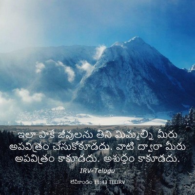 Picture 03 - లేవీకాండం 11:43 TELIRV - ఇలా పాకే జీవులను - Bible Verse Picture