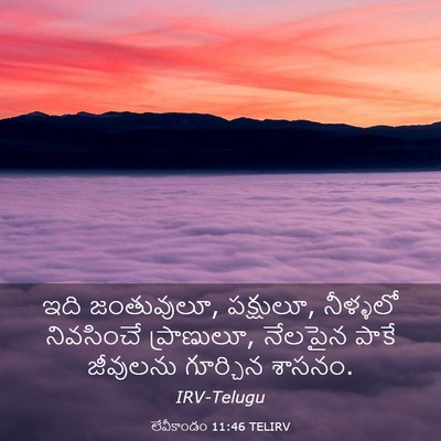 Picture 03 - లేవీకాండం 11:46 TELIRV - ఇది జంతువులూ, - Bible Verse Picture