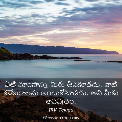 Picture 03 - లేవీకాండం 11:8 TELIRV - వీటి మాంసాన్ని - Bible Verse Picture