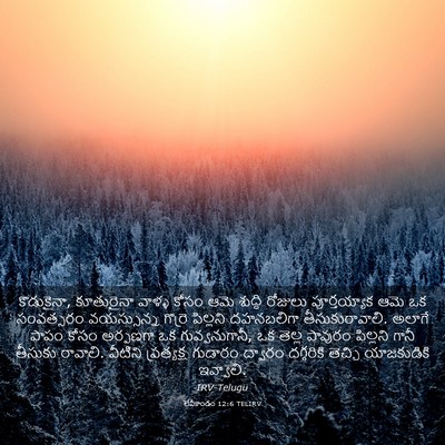Picture 03 - లేవీకాండం 12:6 TELIRV - కొడుకైనా, - Bible Verse Picture