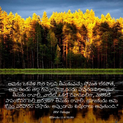 Picture 03 - లేవీకాండం 12:8 TELIRV - ఆమెకు ఒకవేళ - Bible Verse Picture